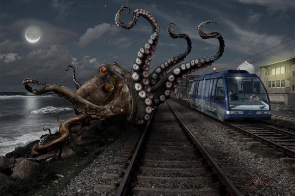 Kraken 6at