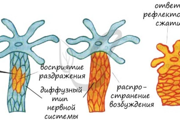 Кракен даркнет актуальная ссылка