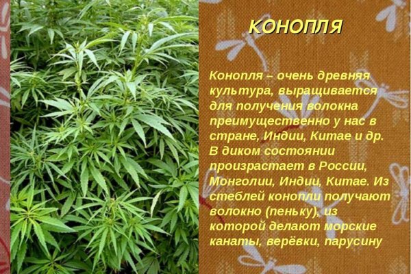 Покупки на кракене даркнет