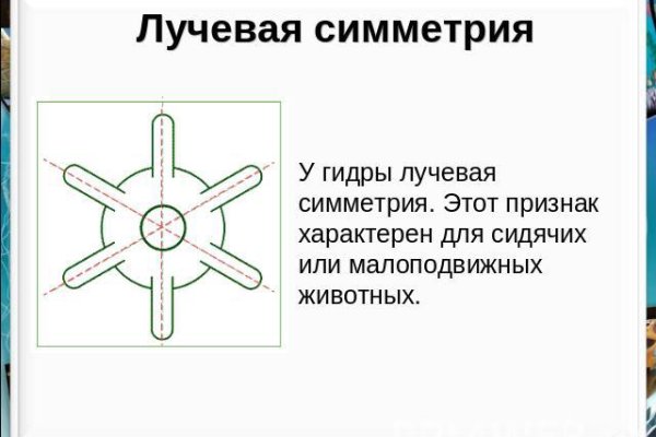 Как зайти на кракен с айфона