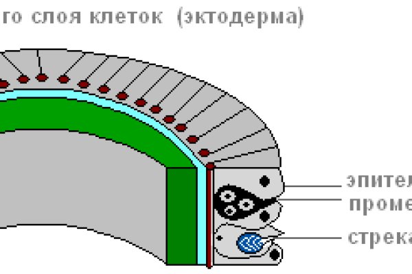 Kraken зеркала gigageek ru