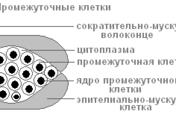 Кракен нов
