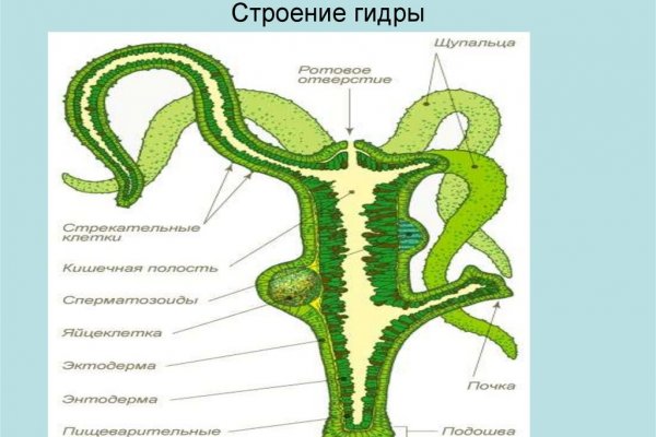 Площадка кракен kraken dark link