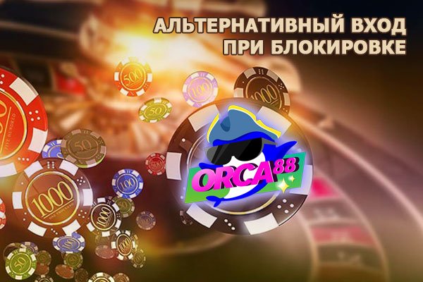 Пользователь не найден кракен