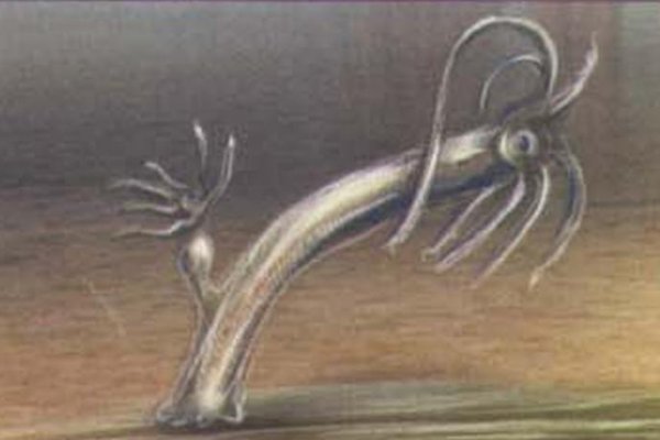 Кракен тор krakens13 at