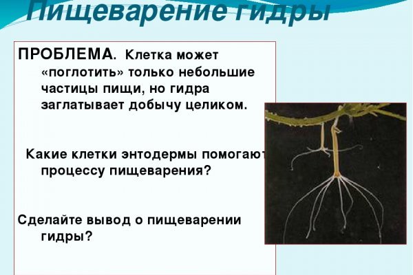 Кракен это что за сайт