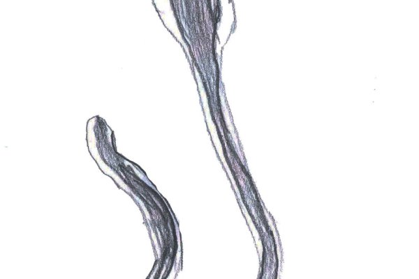 Kra38.cc